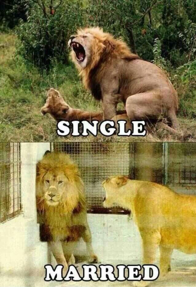 Single Vs Menikah